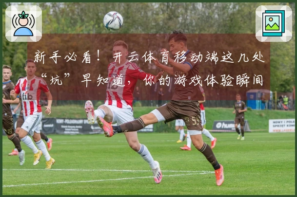 新手必看！开云体育移动端这几处“坑”早知道，你的游戏体验瞬间起飞